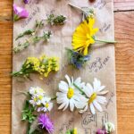 eetbare bloemen workshop