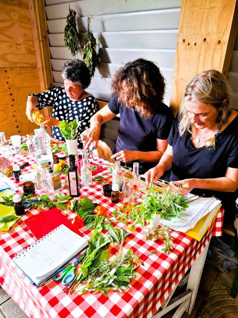 Aanbod kruidenworkshops Zuid-Holland