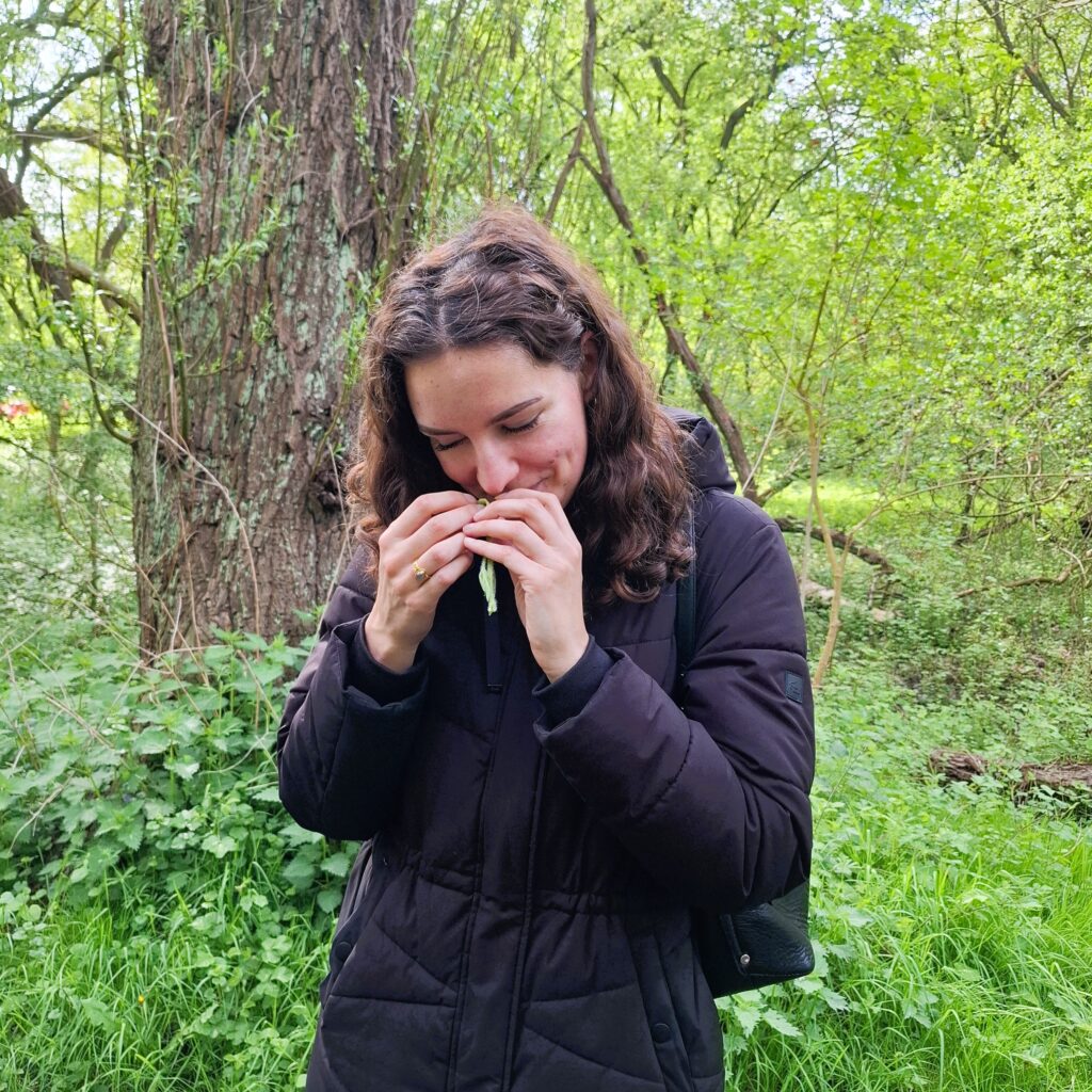 voorjaarskruiden wildplukwandeling