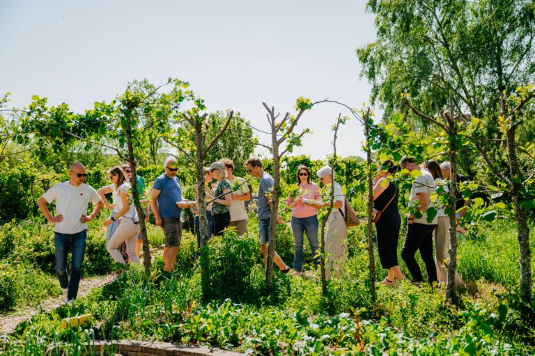 Natuurlijk Zeker kruidenwandelingen