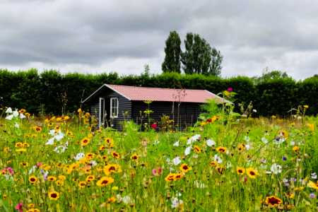 Tuynhuis De Buytenhof