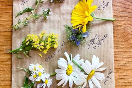 eetbare bloemen wildplukwandeling