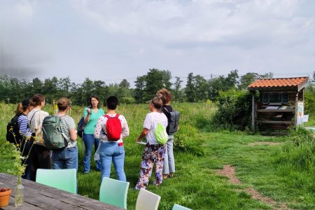 hormonale balans wildplukwandeling Maassluis