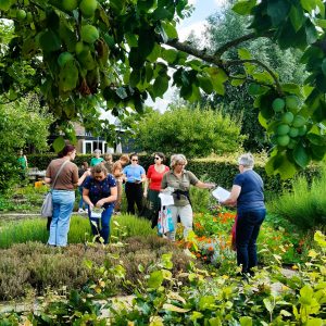 Wildplukwandeling Rotterdam