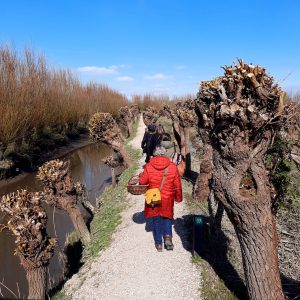 wildplukwandeling De Rhoonse Grienden